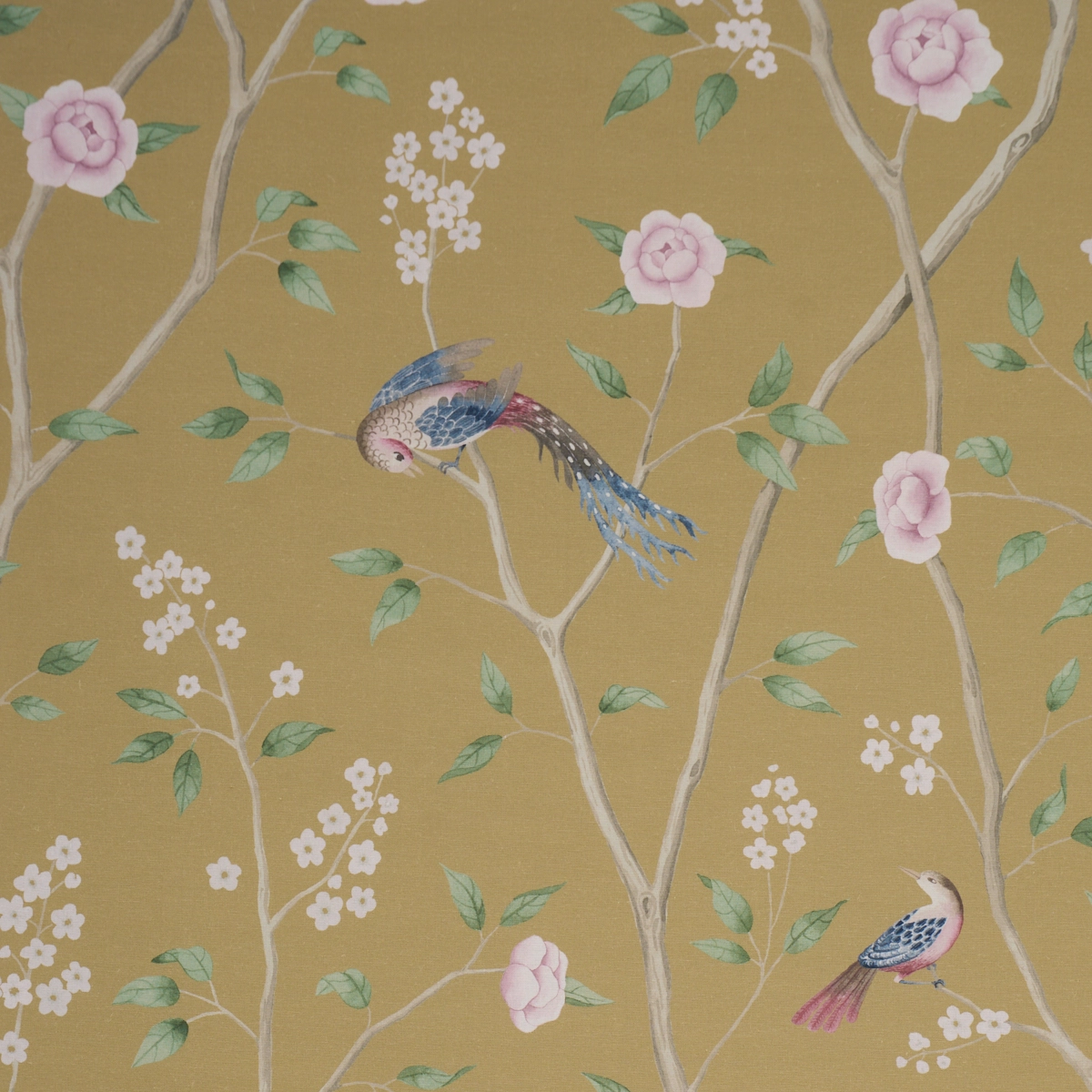 PARADISE BIRDS_ GOLD