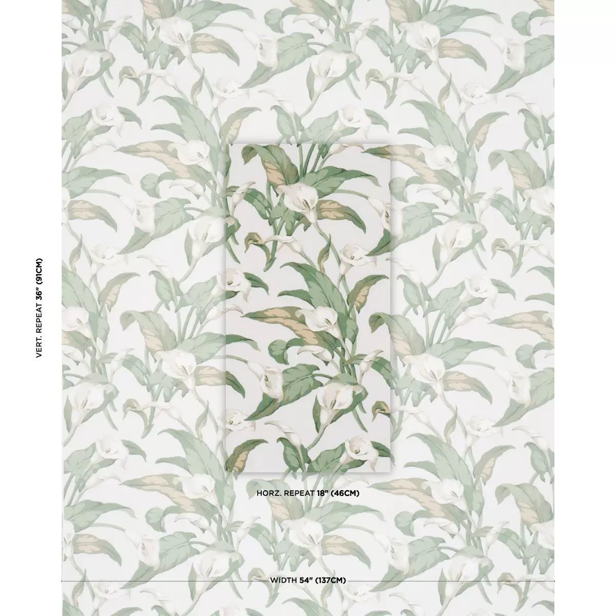 ARUM LILIES_ IVORY