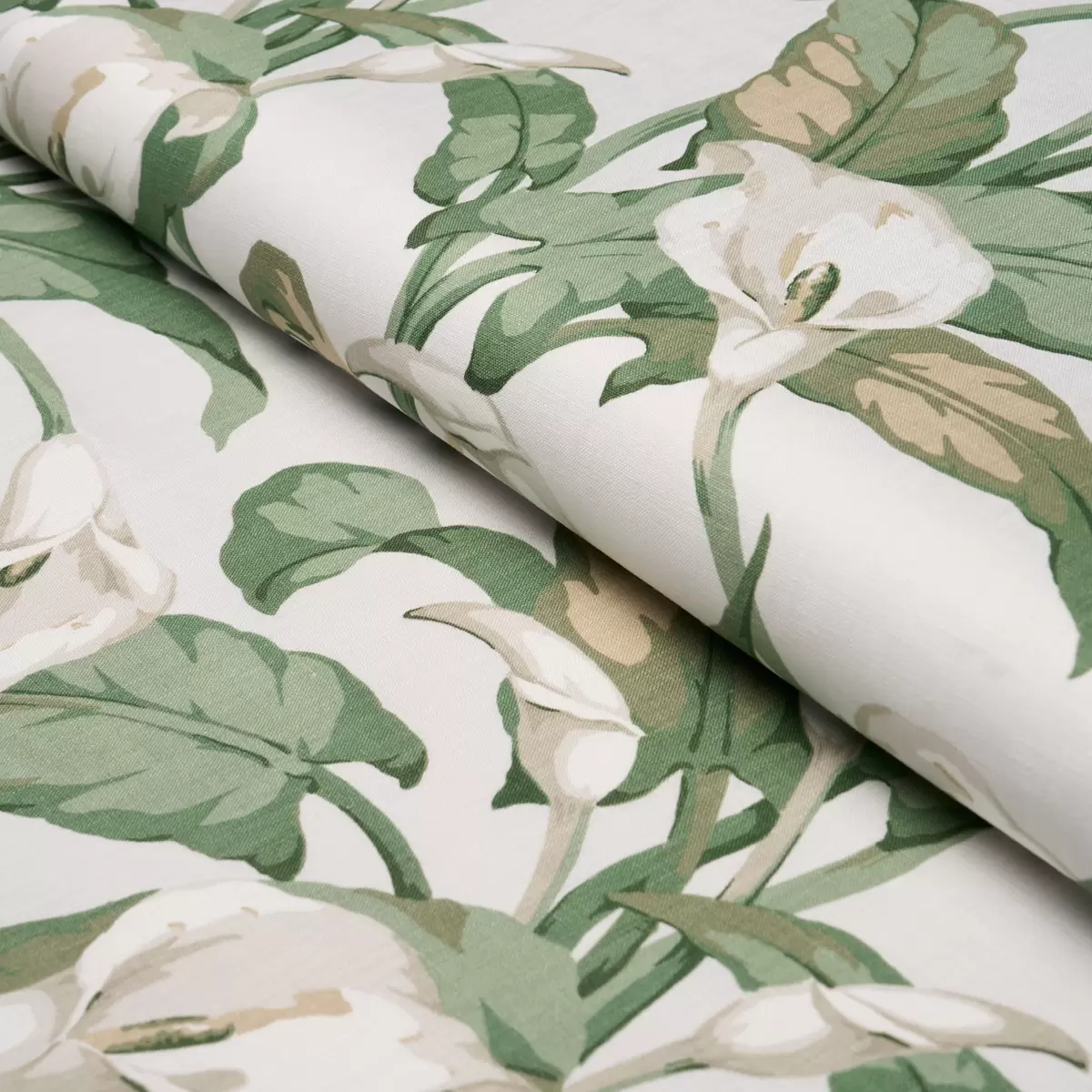 ARUM LILIES_ IVORY