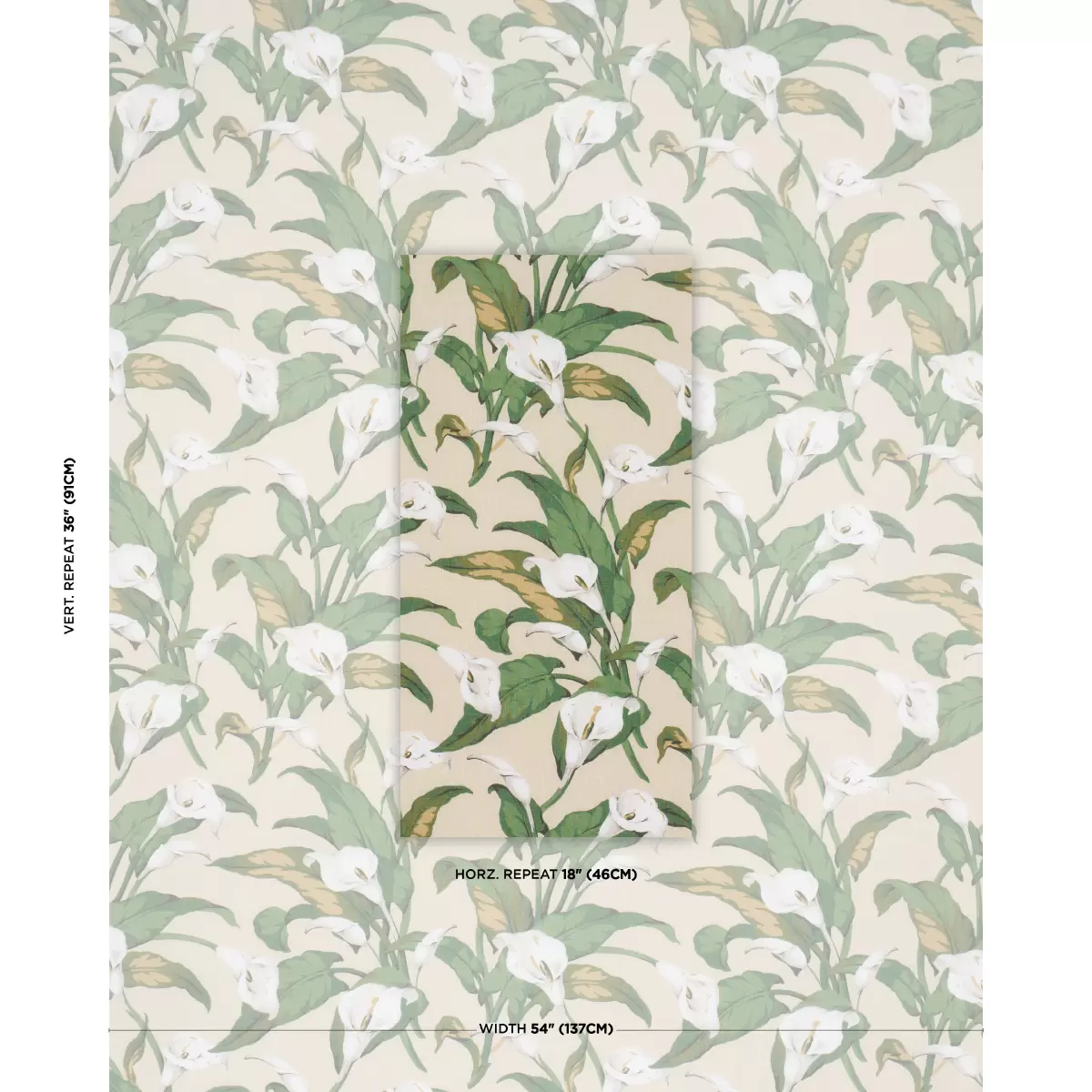 ARUM LILIES_ PARCHMENT