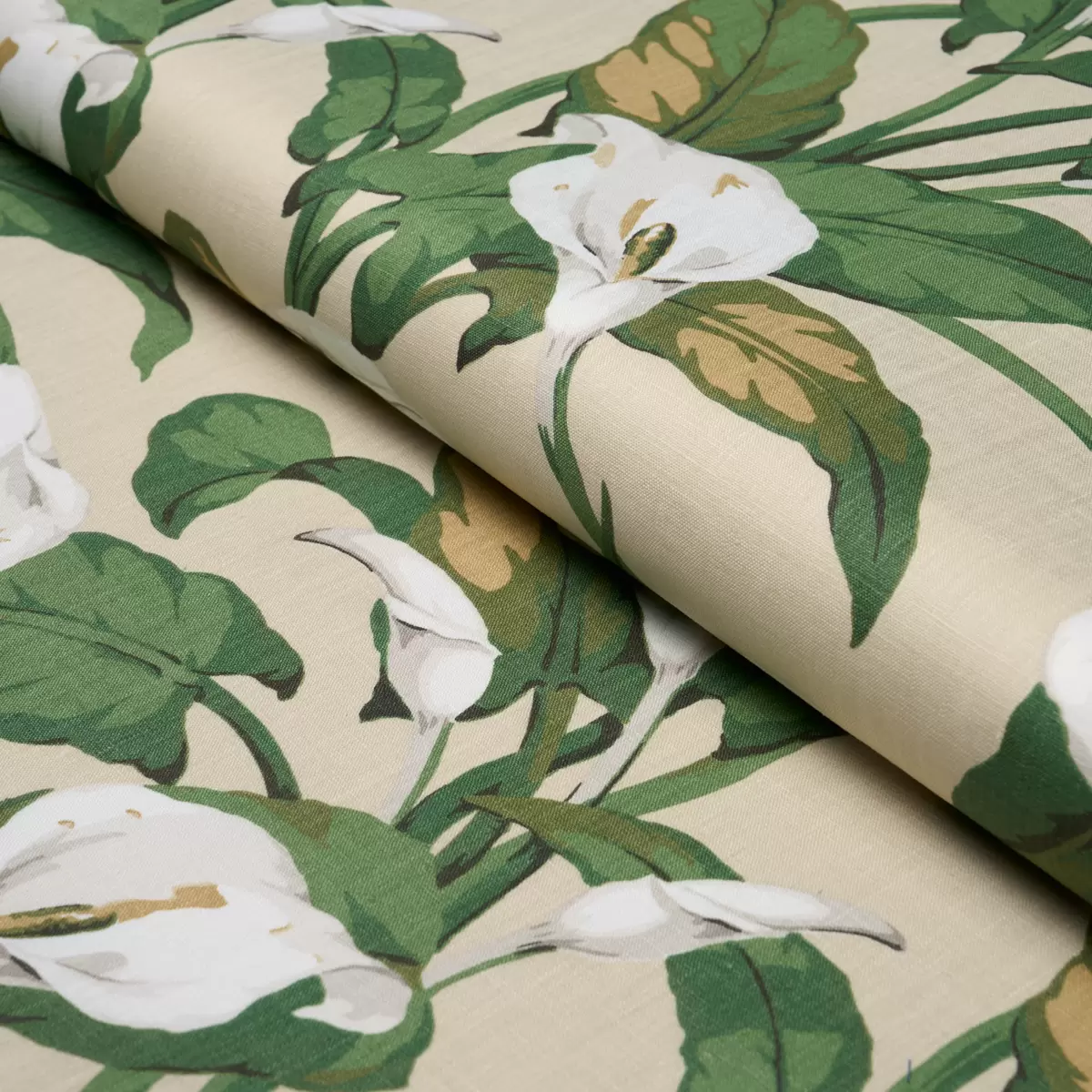 ARUM LILIES_ PARCHMENT