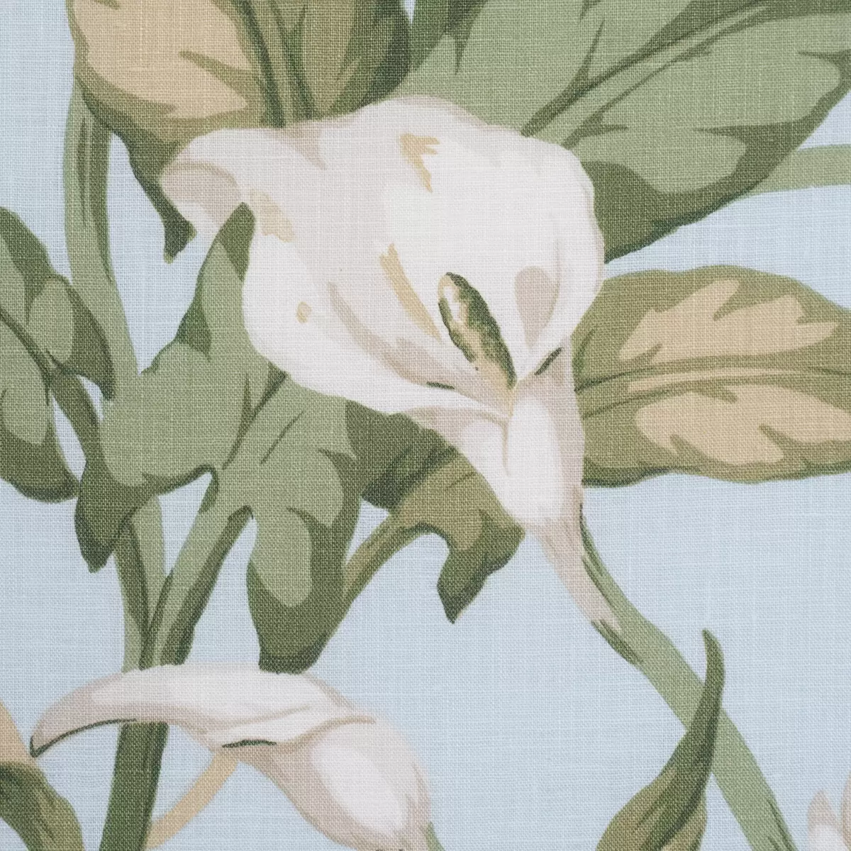 ARUM LILIES_ SKY