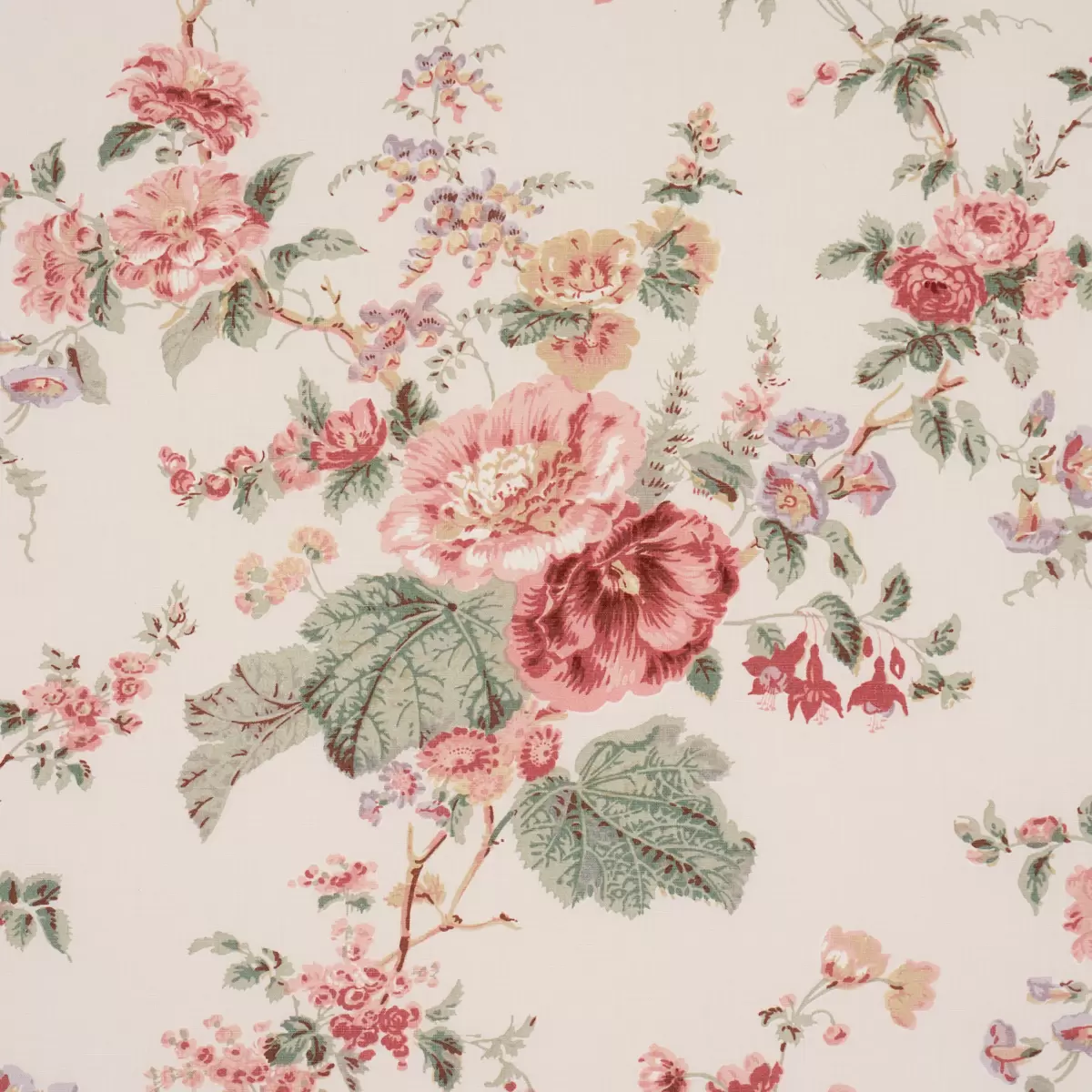 MIDSUMMER HOLLYHOCK_ ROSE