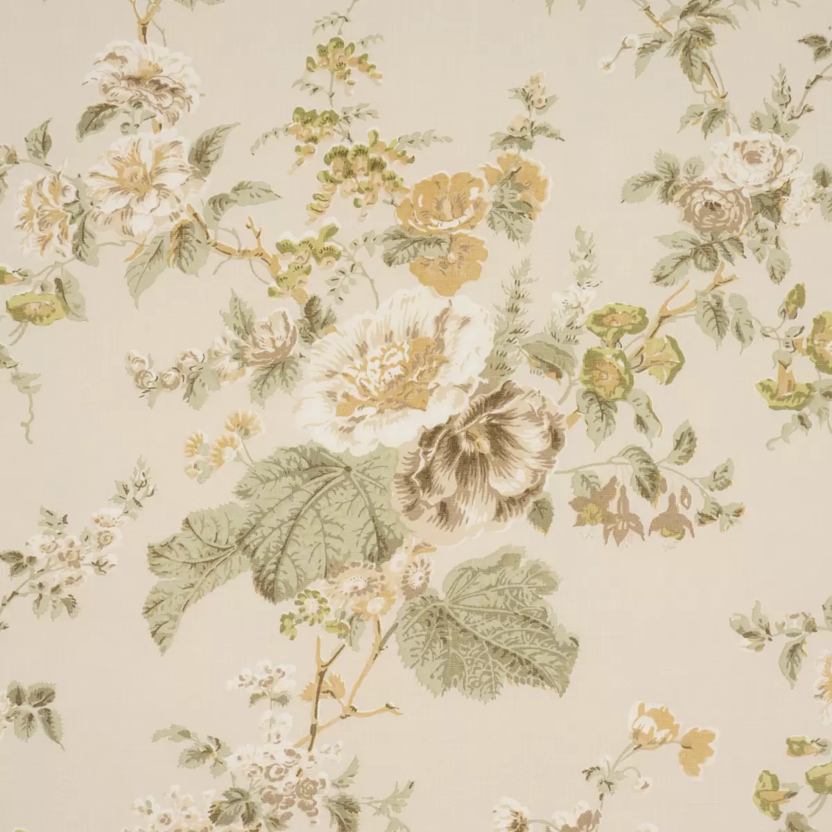 MIDSUMMER HOLLYHOCK_ CITRON