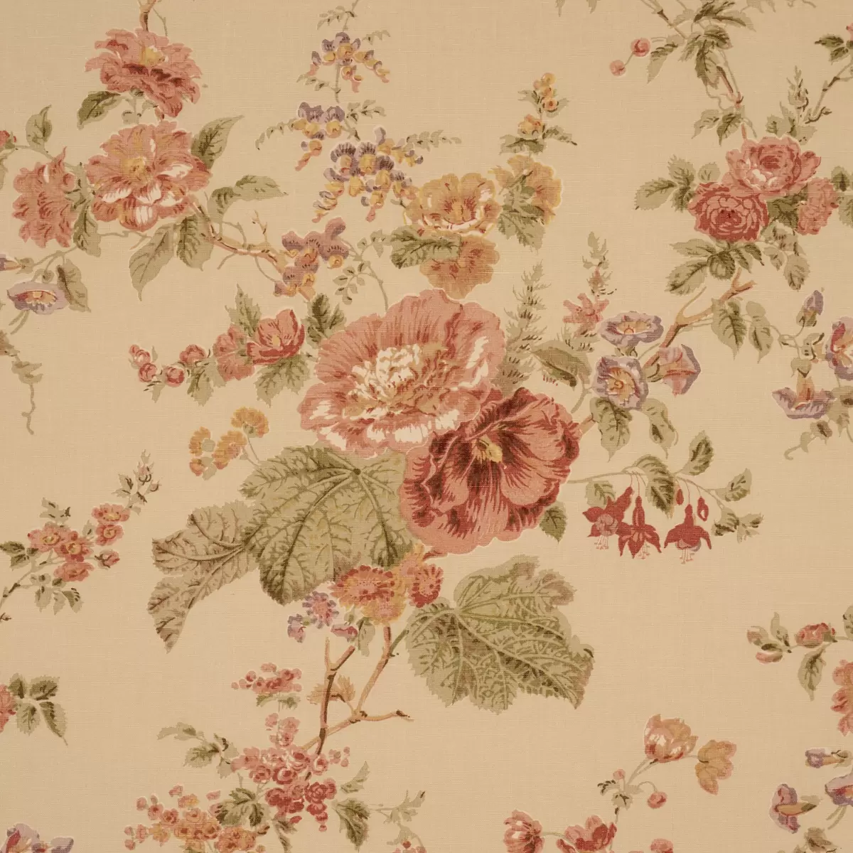 MIDSUMMER HOLLYHOCK_ BEIGE