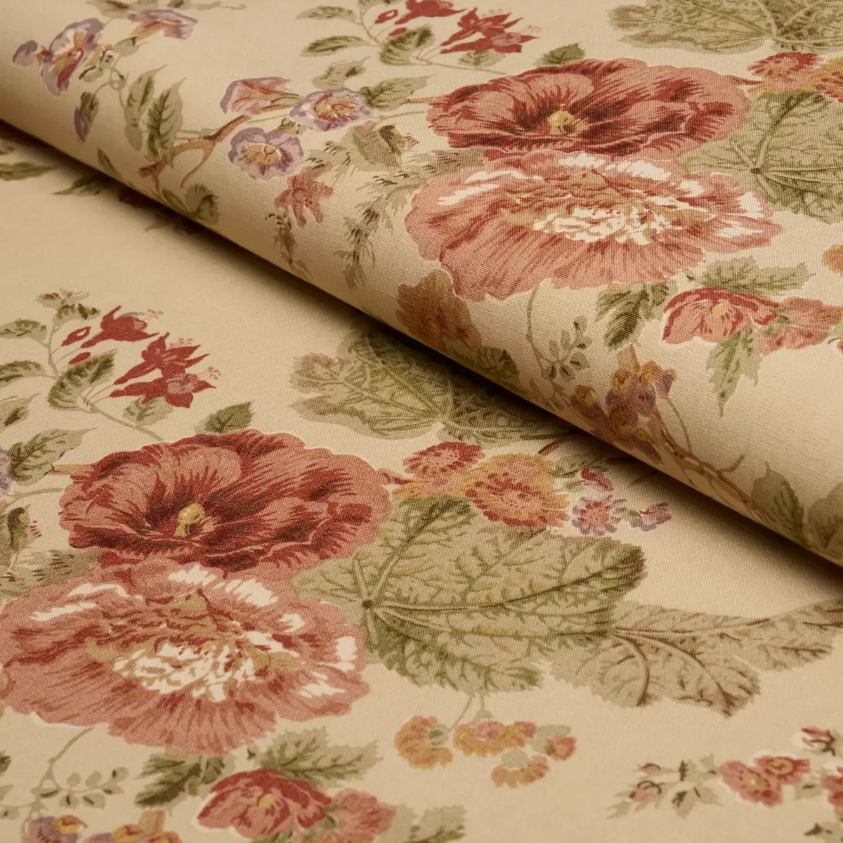 MIDSUMMER HOLLYHOCK_ BEIGE