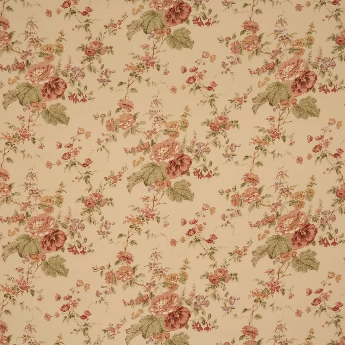 MIDSUMMER HOLLYHOCK_ BEIGE
