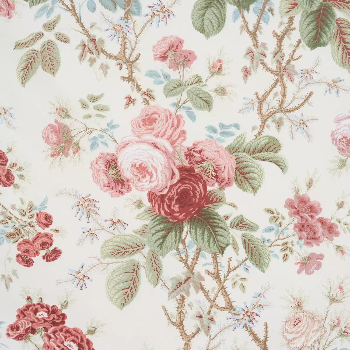 SHE WALKS IN BEAUTY CHINTZ_ ROSE