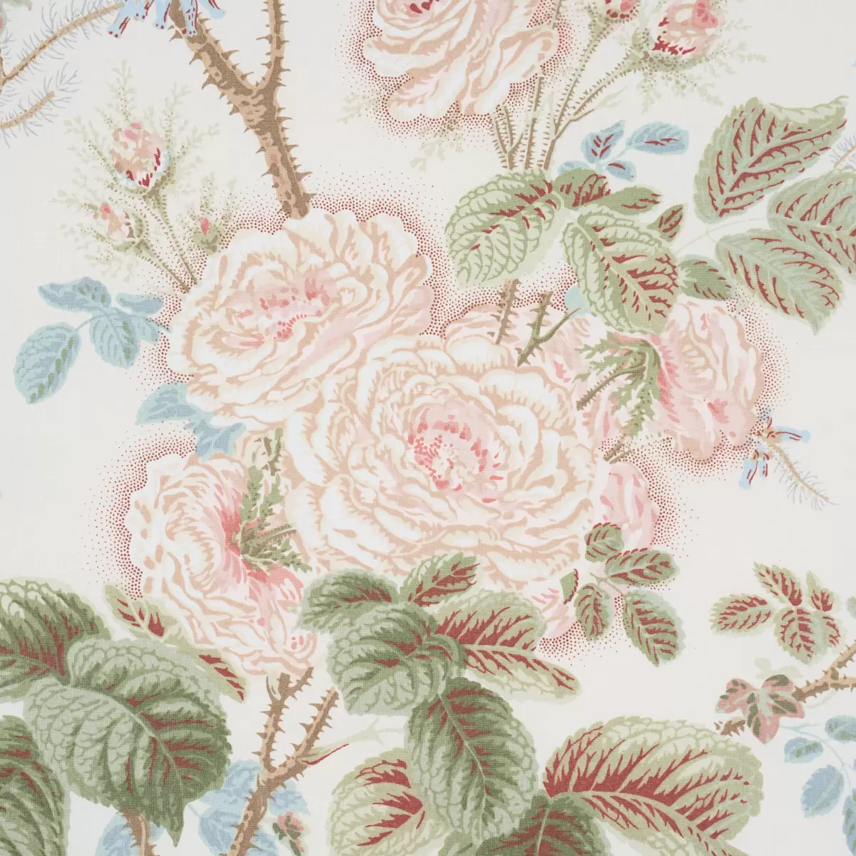 SHE WALKS IN BEAUTY CHINTZ_ ROSE