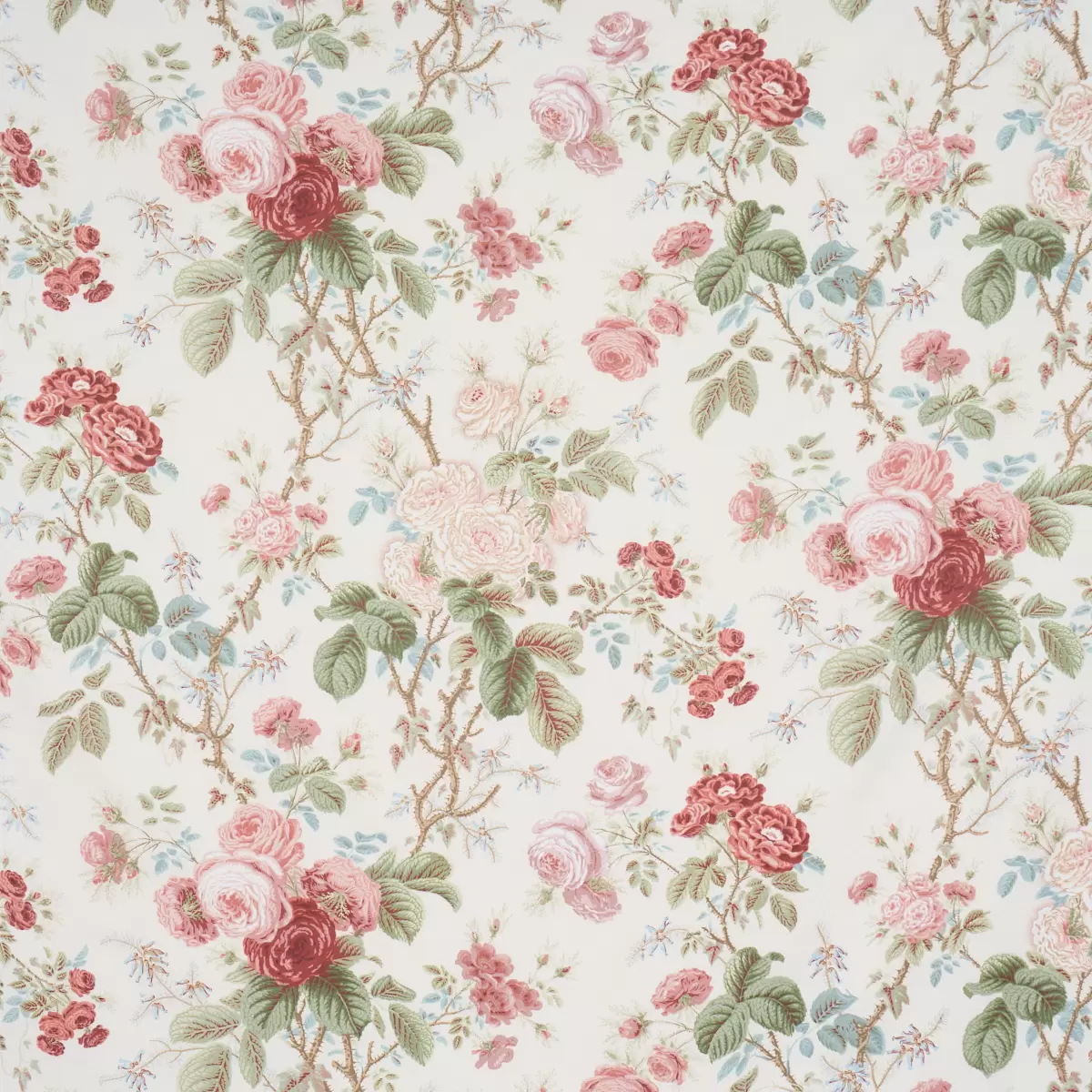 SHE WALKS IN BEAUTY CHINTZ_ ROSE