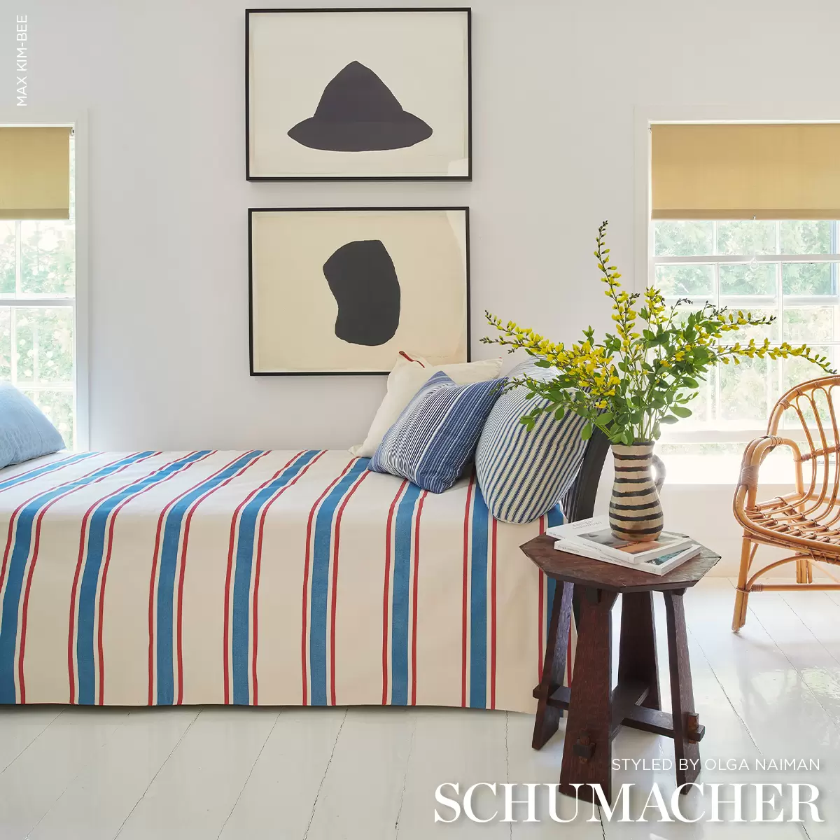 HADWEN STRIPE_ RED & BLUE