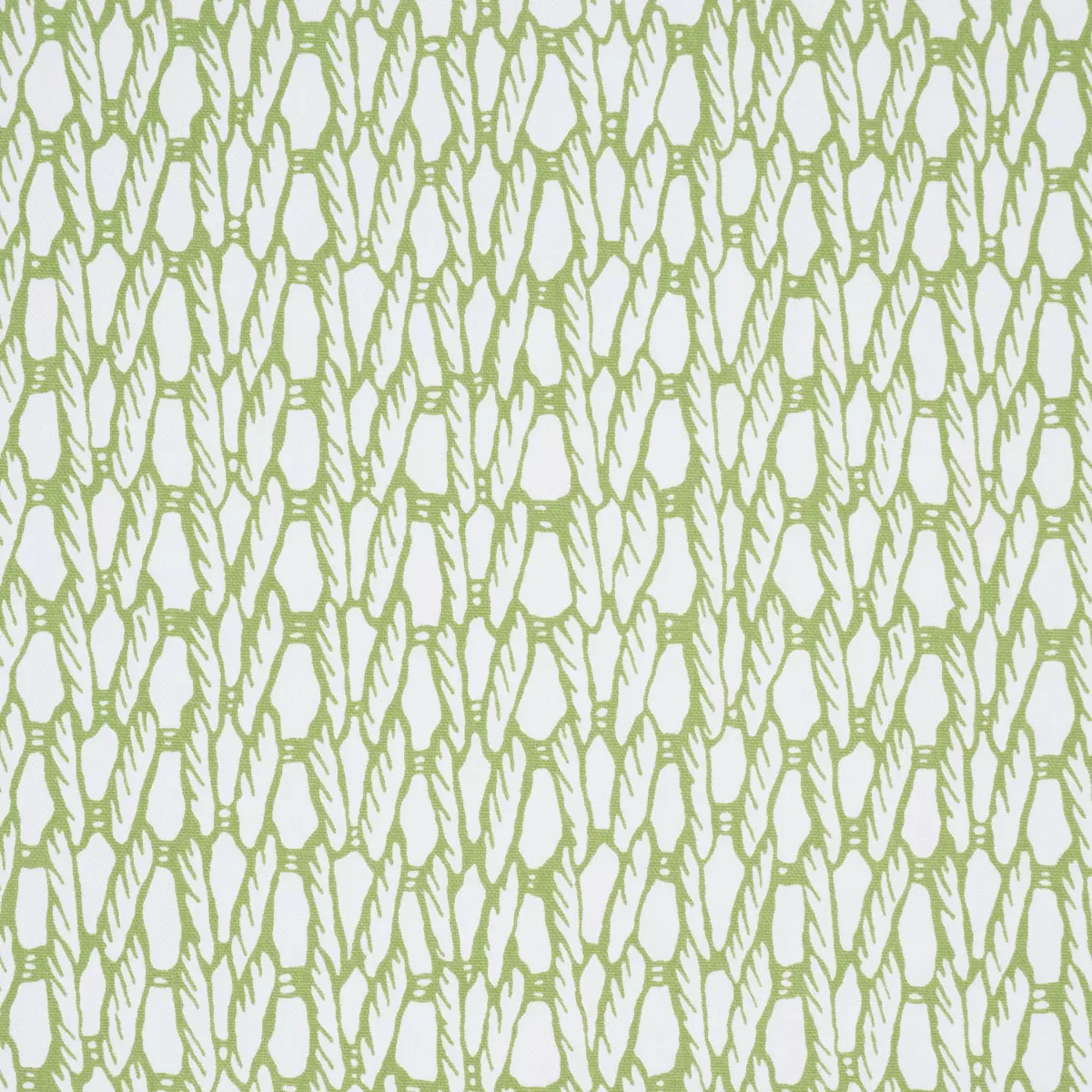 KNIT_ LIME