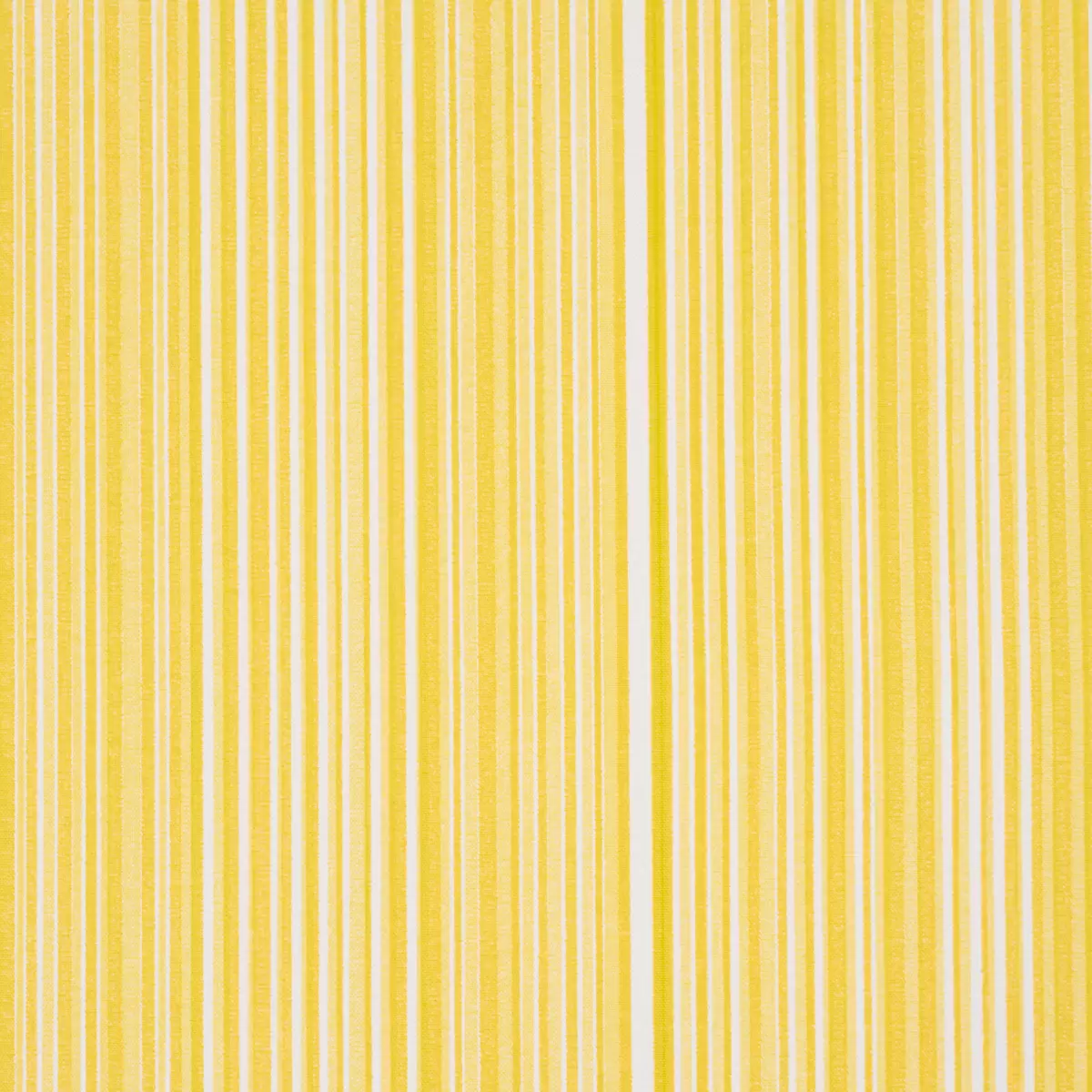 MINISTRIPE_ BUTTERCUP