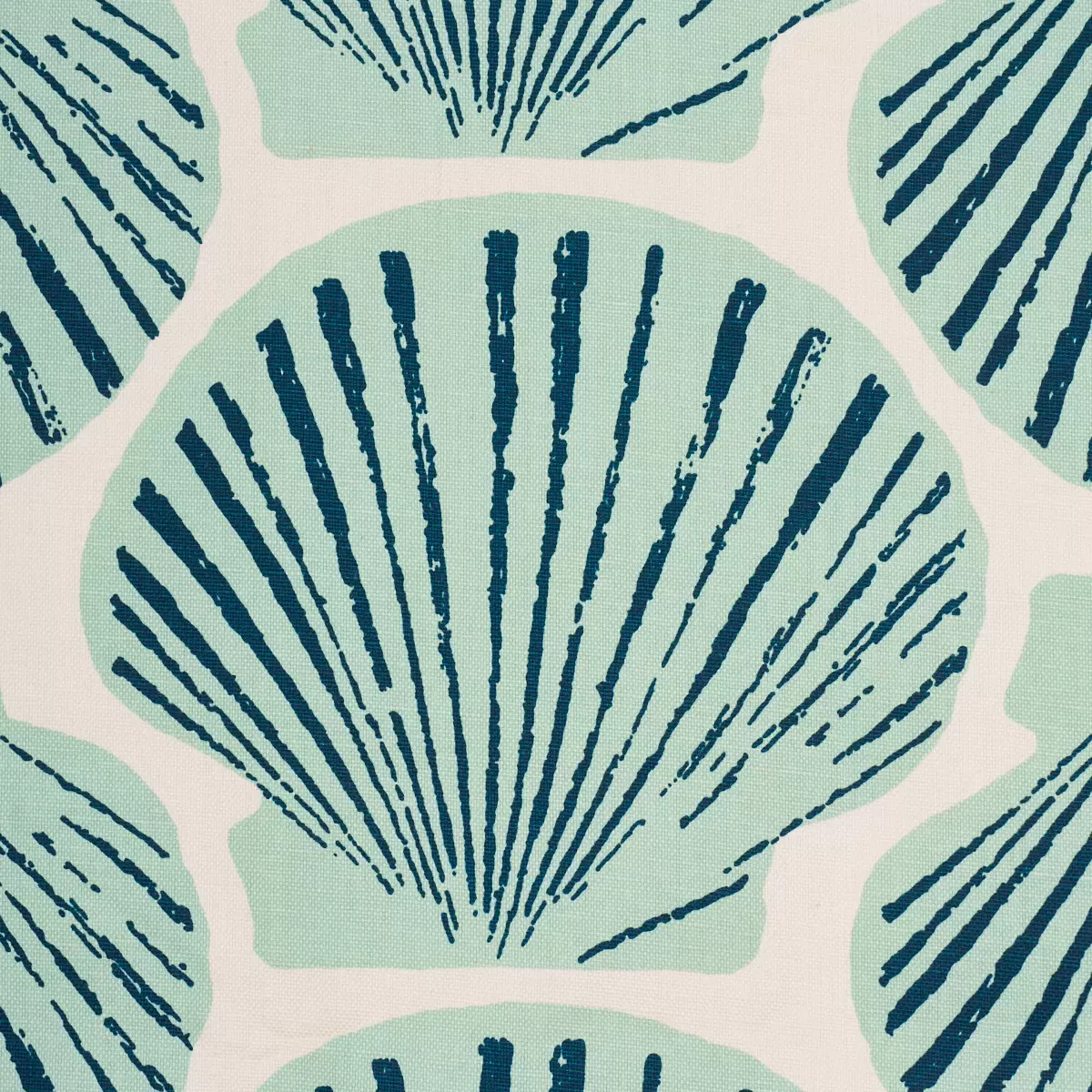 SCALLOP SHELL_ AQUA