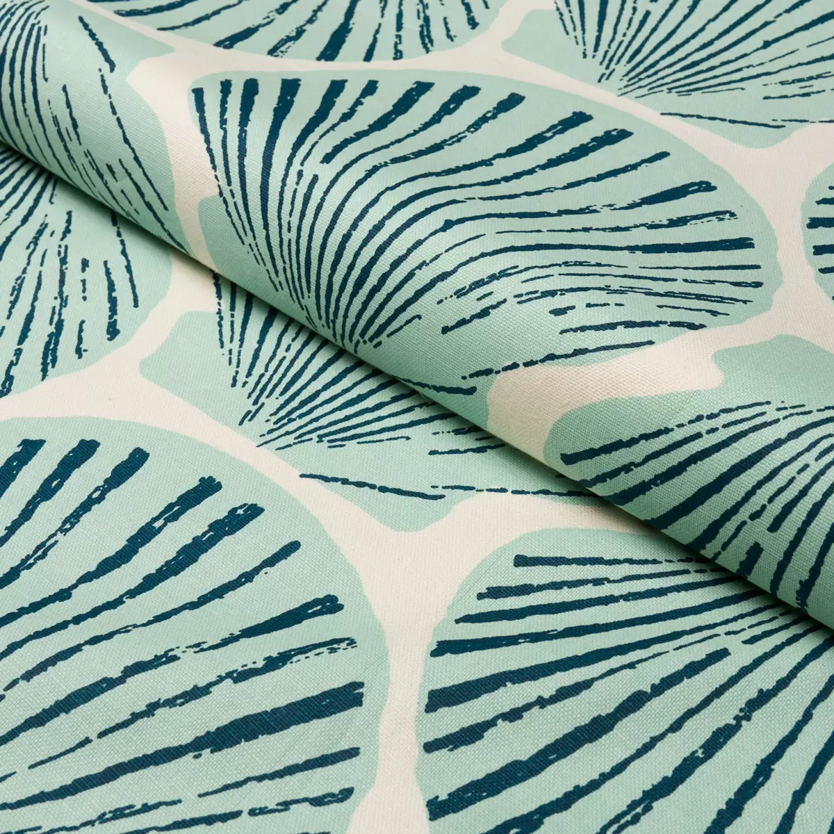 SCALLOP SHELL_ AQUA