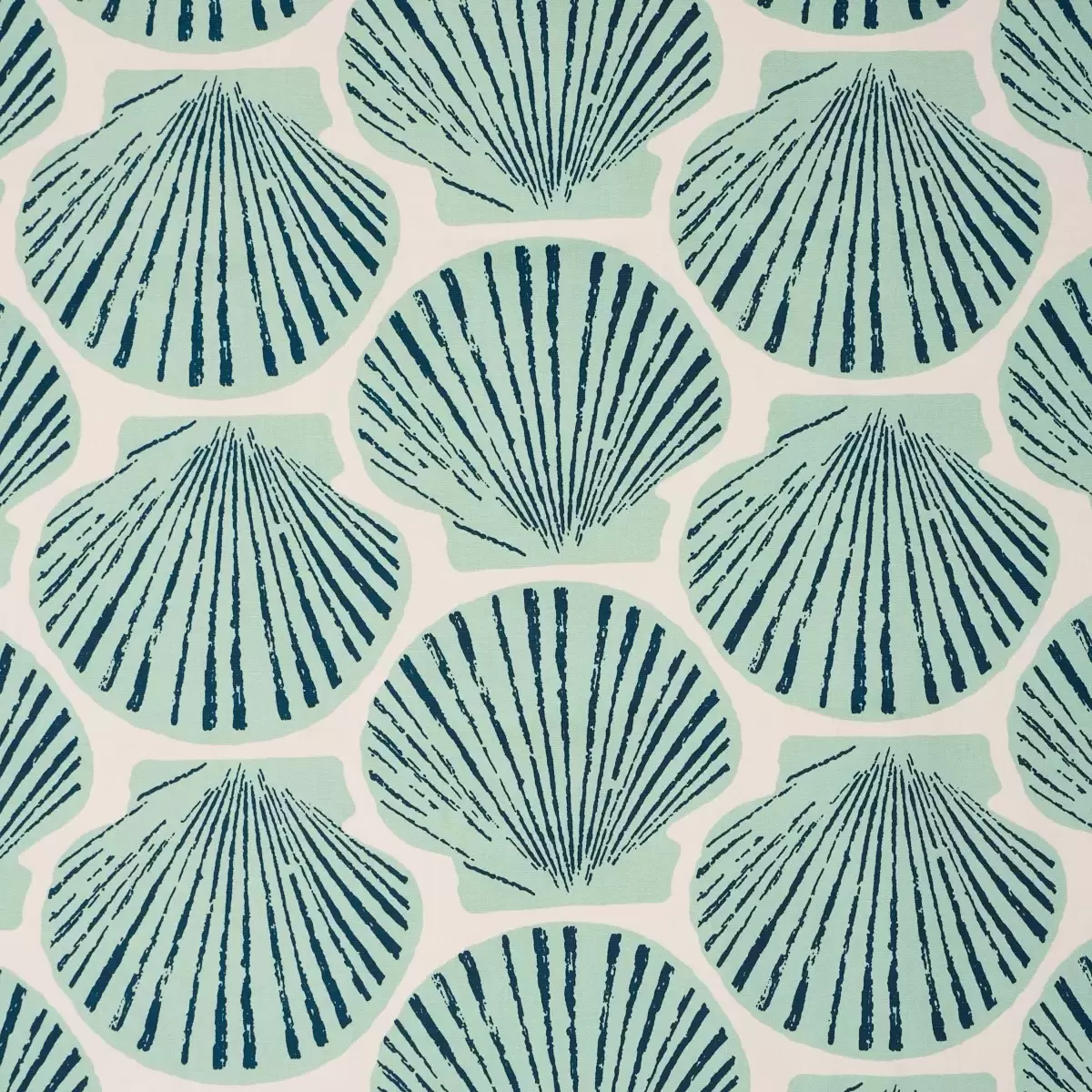 SCALLOP SHELL_ AQUA
