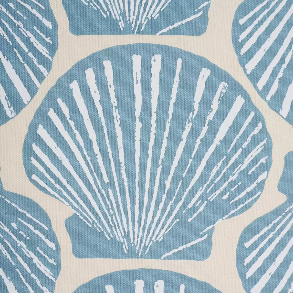SCALLOP SHELL_ LIGHT BLUE