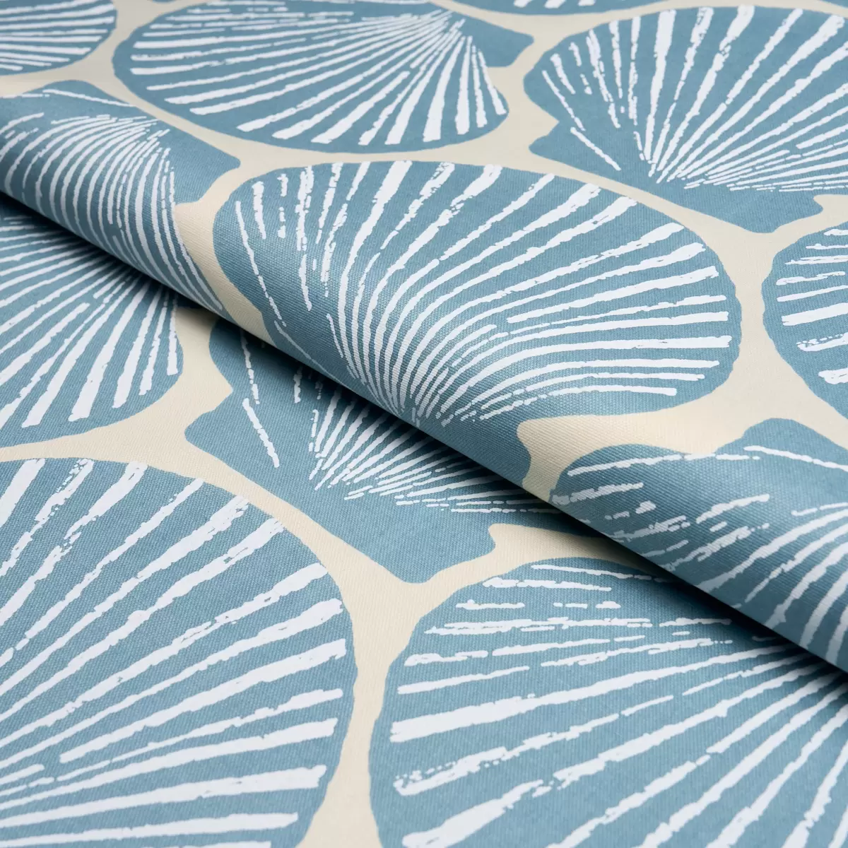 SCALLOP SHELL_ LIGHT BLUE
