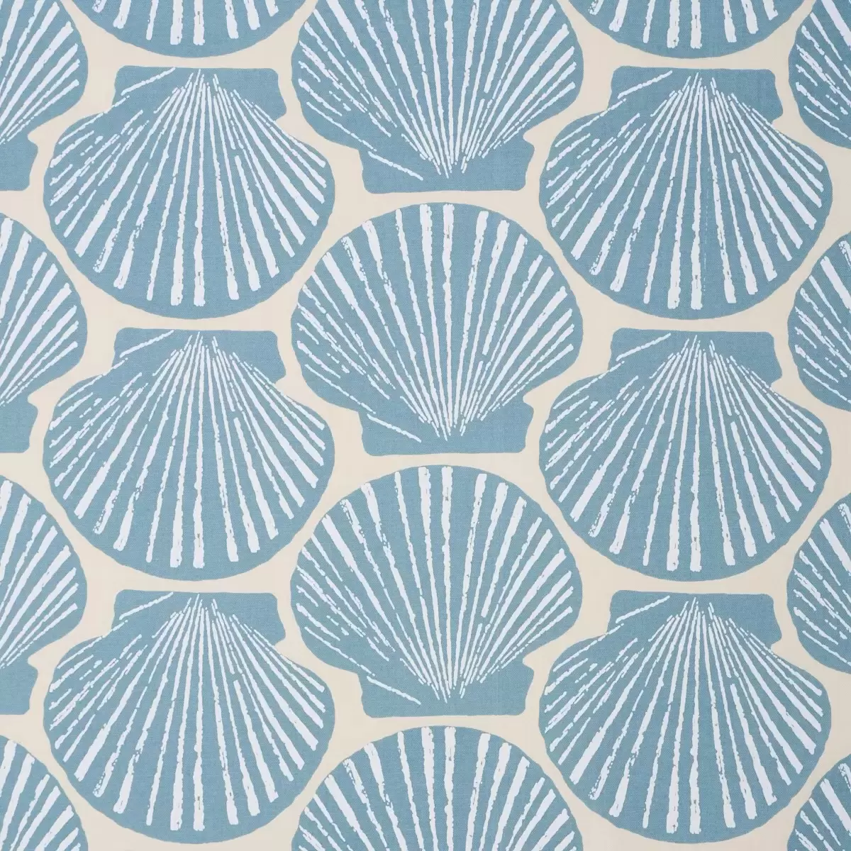 SCALLOP SHELL_ LIGHT BLUE