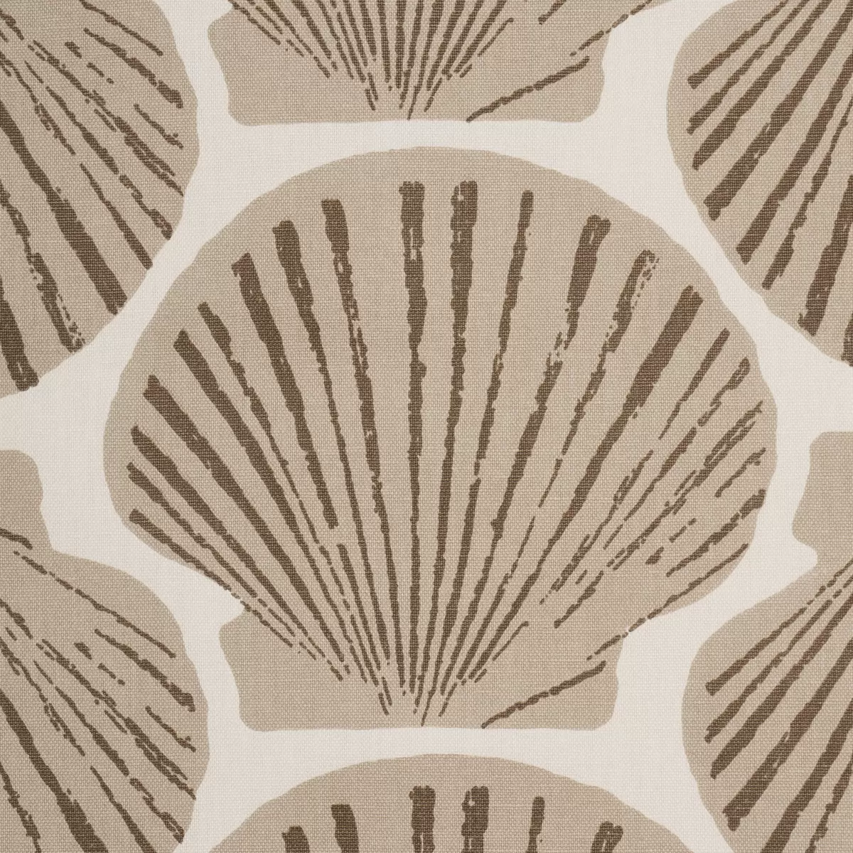 SCALLOP SHELL_ NATURAL