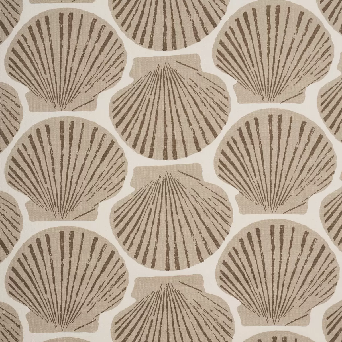 SCALLOP SHELL_ NATURAL