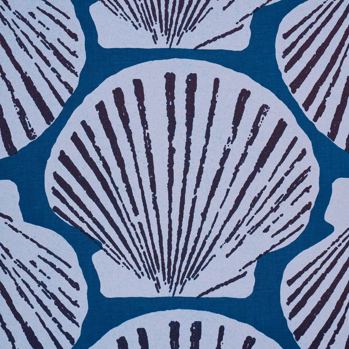 SCALLOP SHELL_ INDIGO