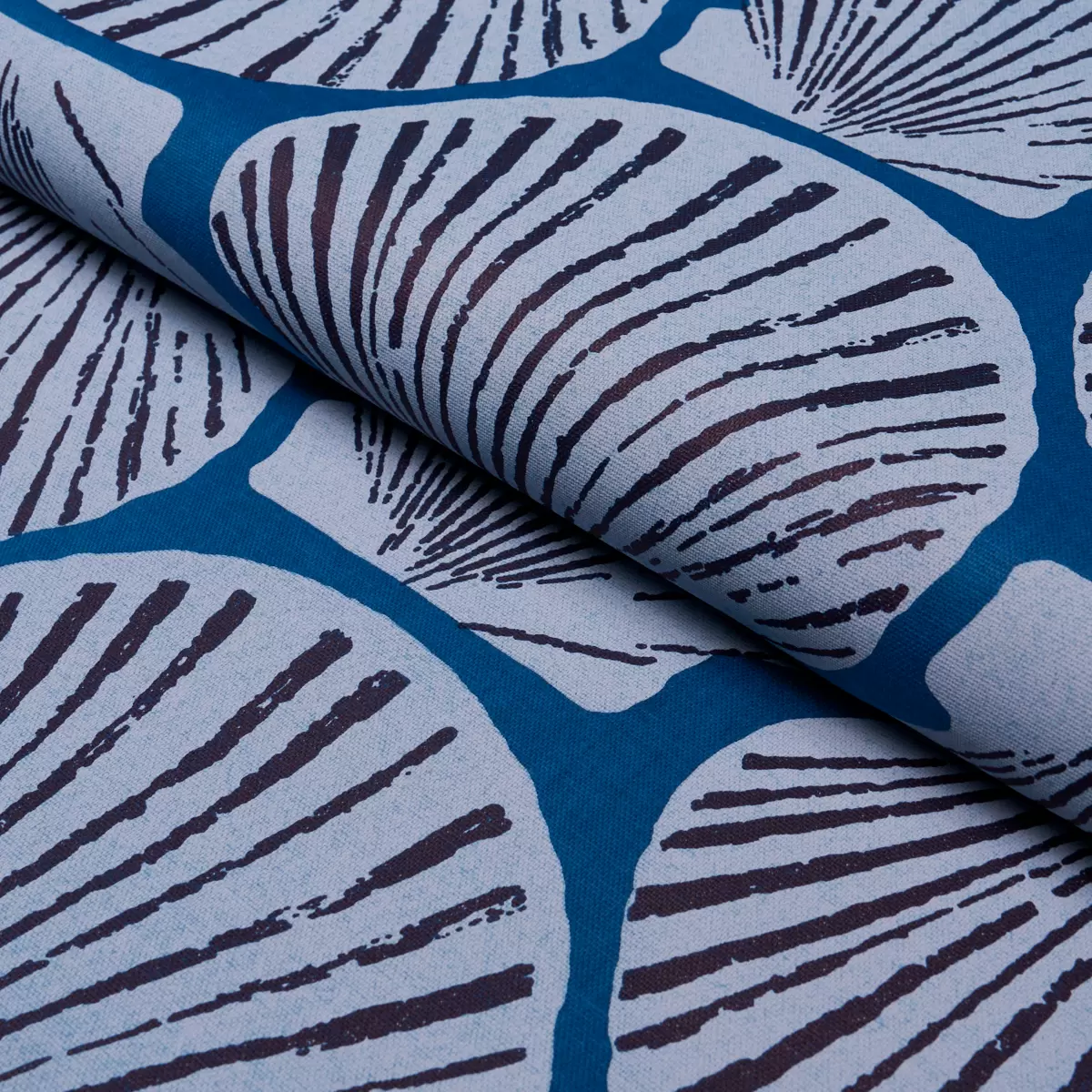 SCALLOP SHELL_ INDIGO