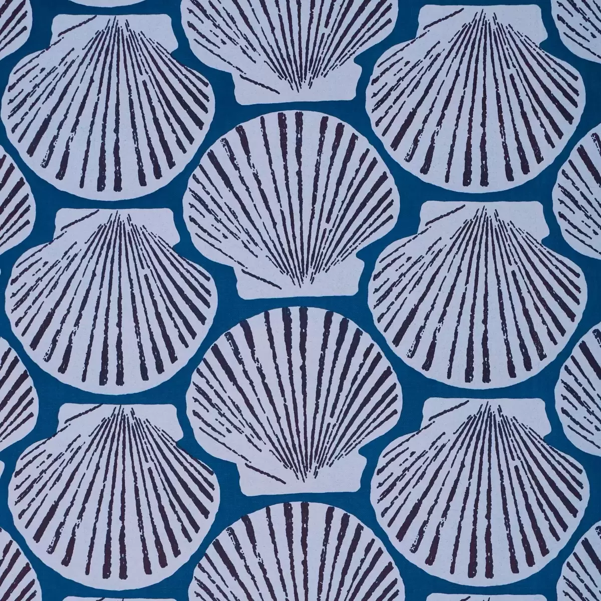 SCALLOP SHELL_ INDIGO