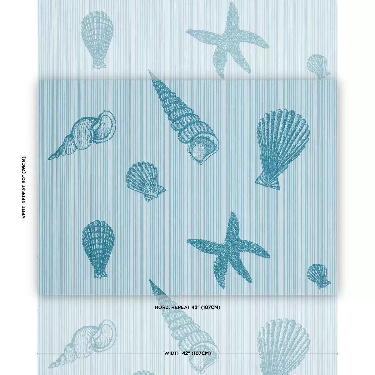 SEASHELLS_ OCEAN