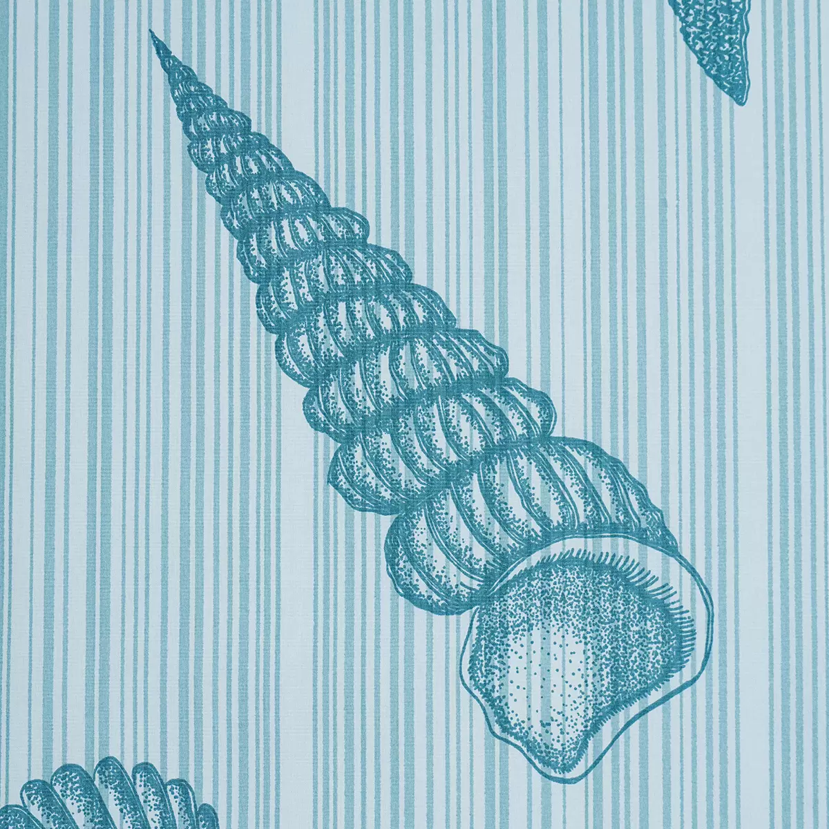 SEASHELLS_ OCEAN