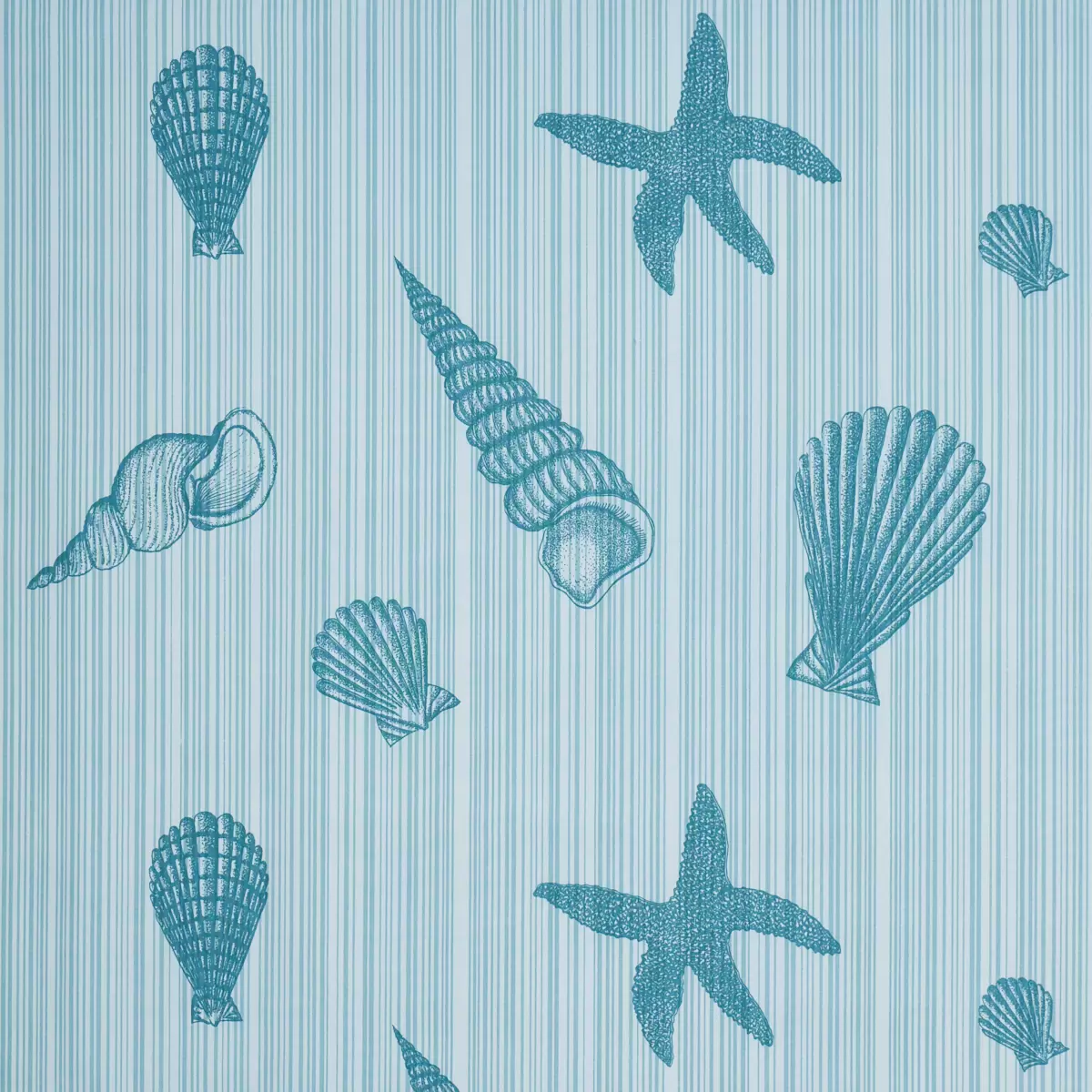 SEASHELLS_ OCEAN