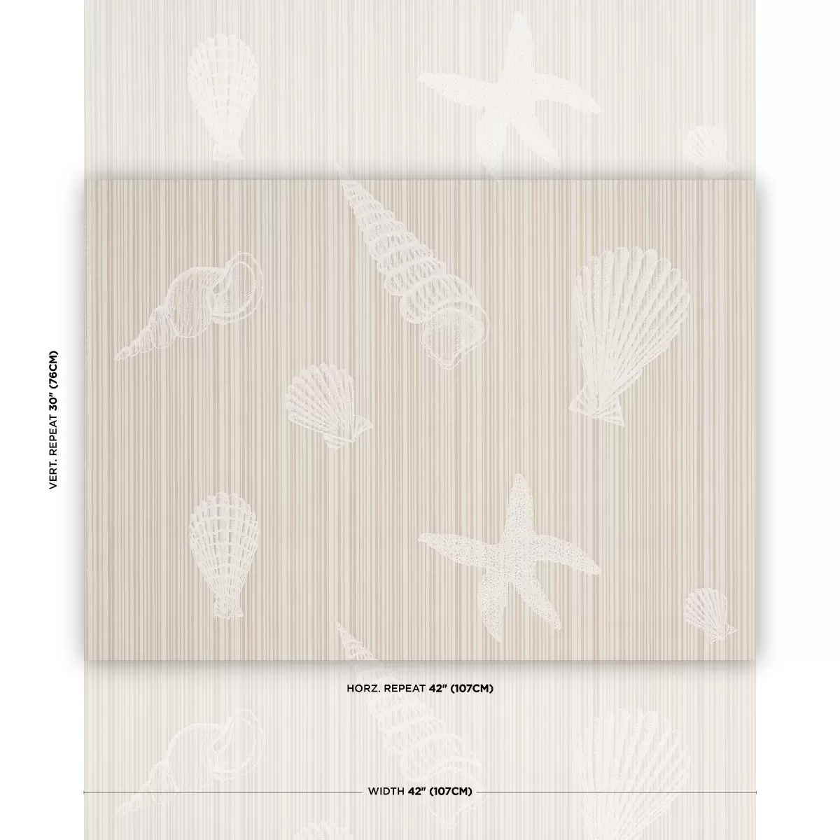 SEASHELLS_ NATURAL