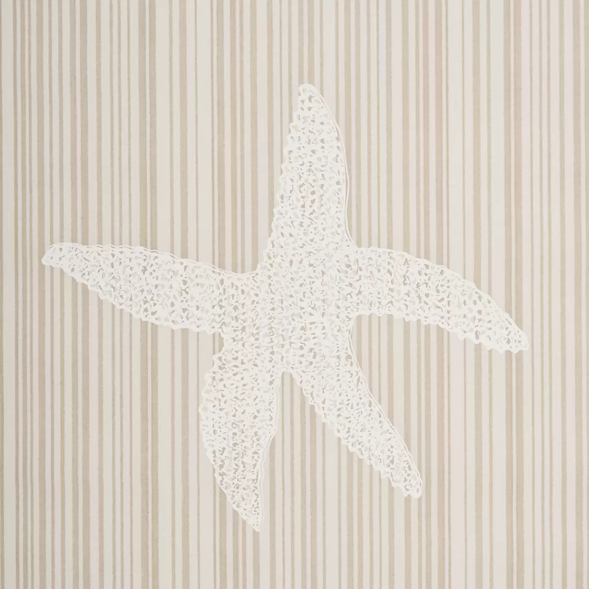 SEASHELLS_ NATURAL