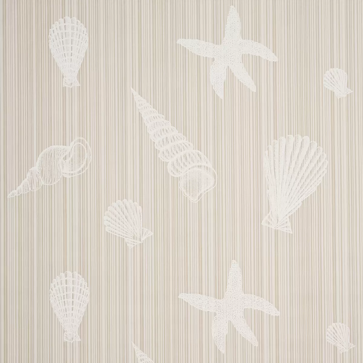 SEASHELLS_ NATURAL
