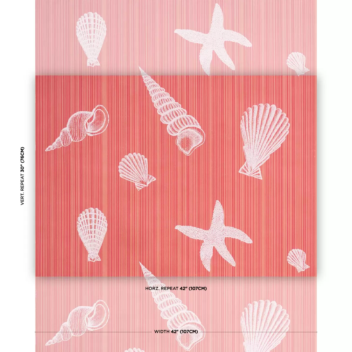 SEASHELLS_ CORAL
