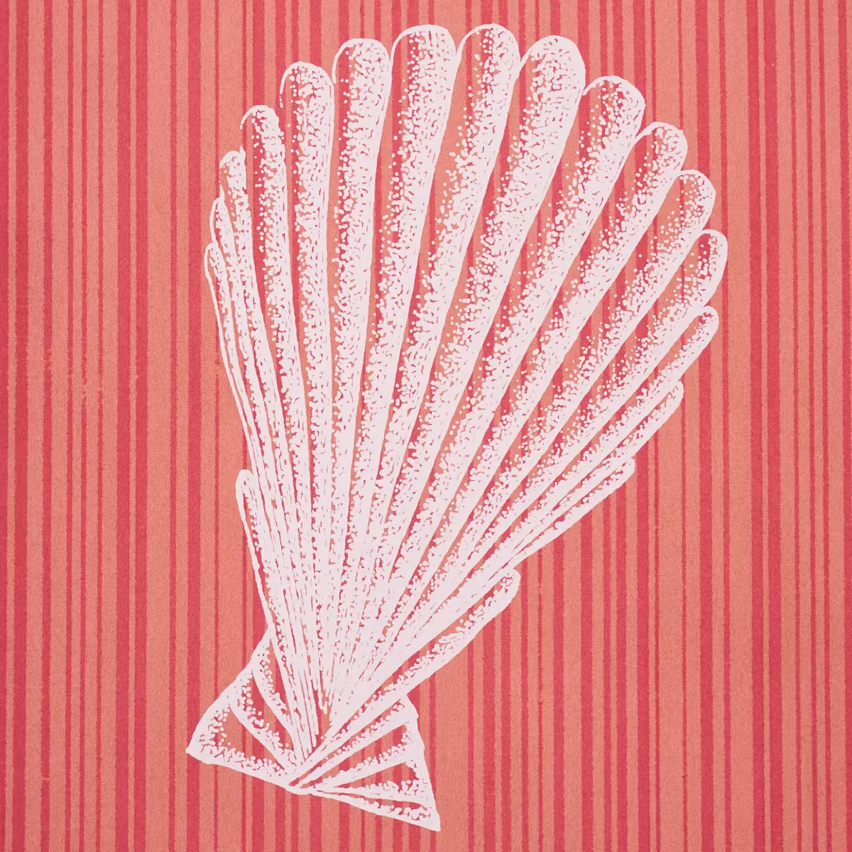 SEASHELLS_ CORAL