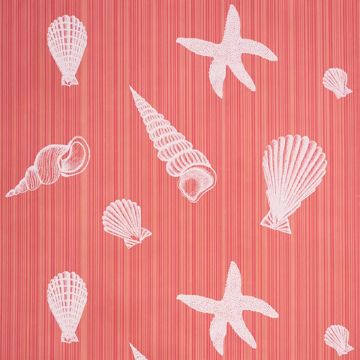 SEASHELLS_ CORAL
