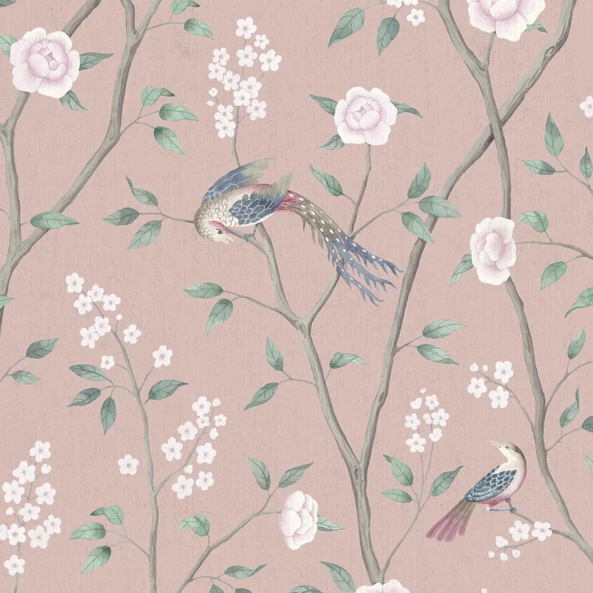 PARADISE BIRDS_ BLUSH SHIMMER