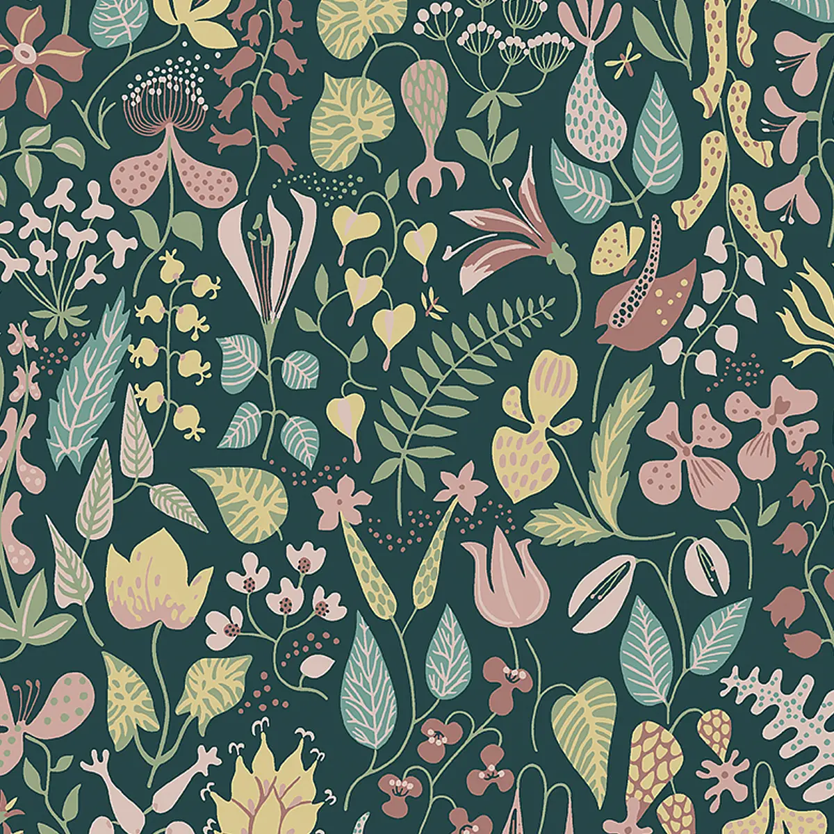 HERBARIUM_ SPRUCE