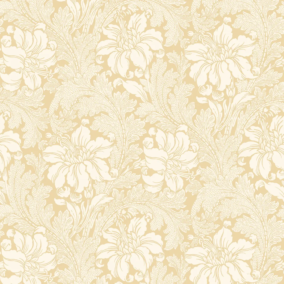 ACANTHUS GARDEN_ BUTTERCUP