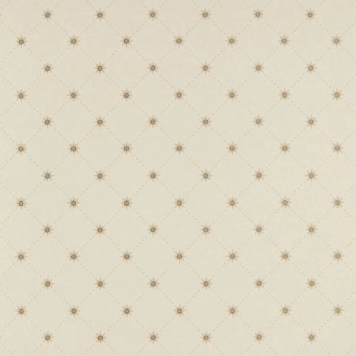 COOPER STAR_ ALABASTER