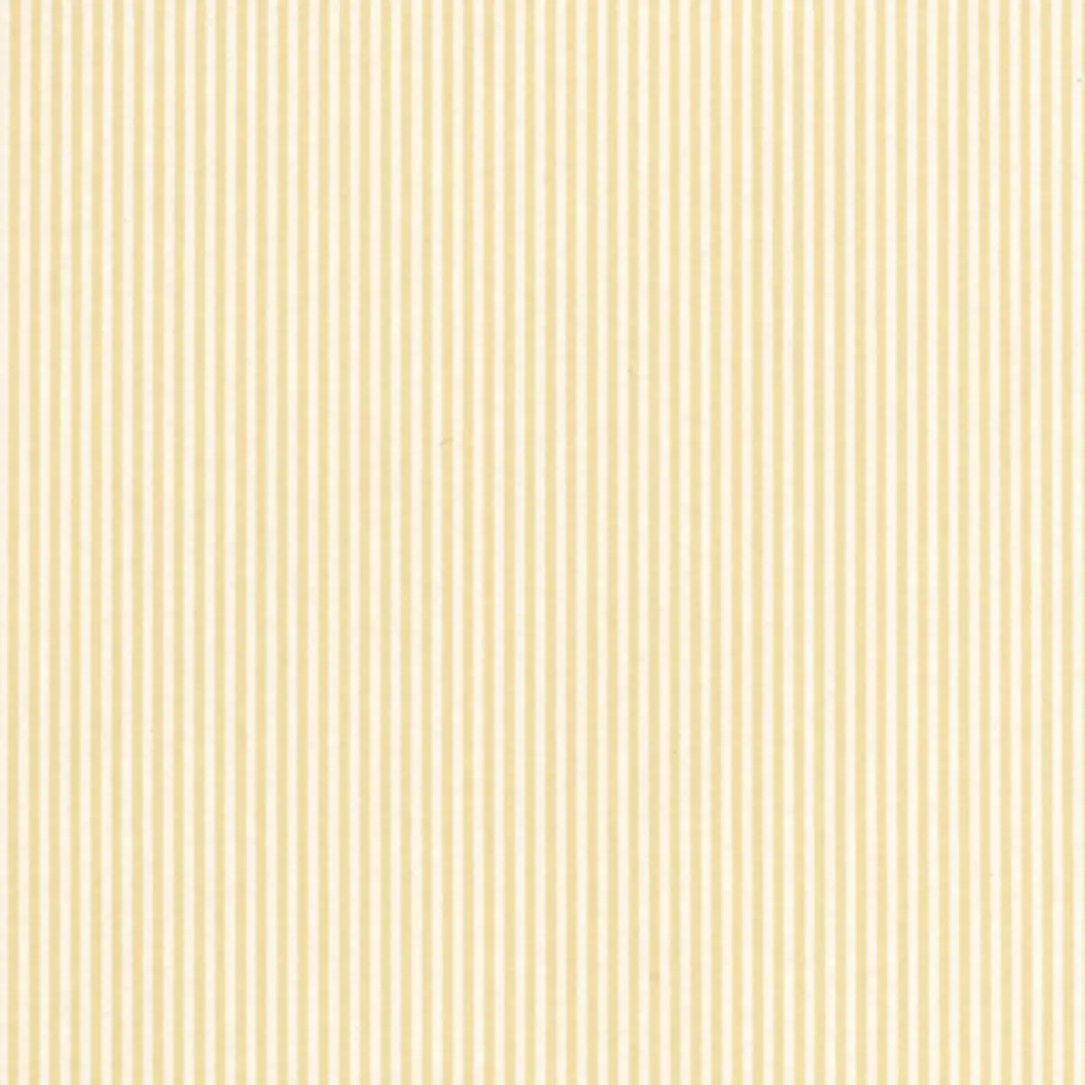NEWPORT STRIPE_ MAIZE