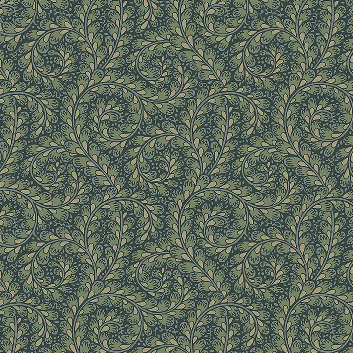 WILD FERNS_ SPRUCE