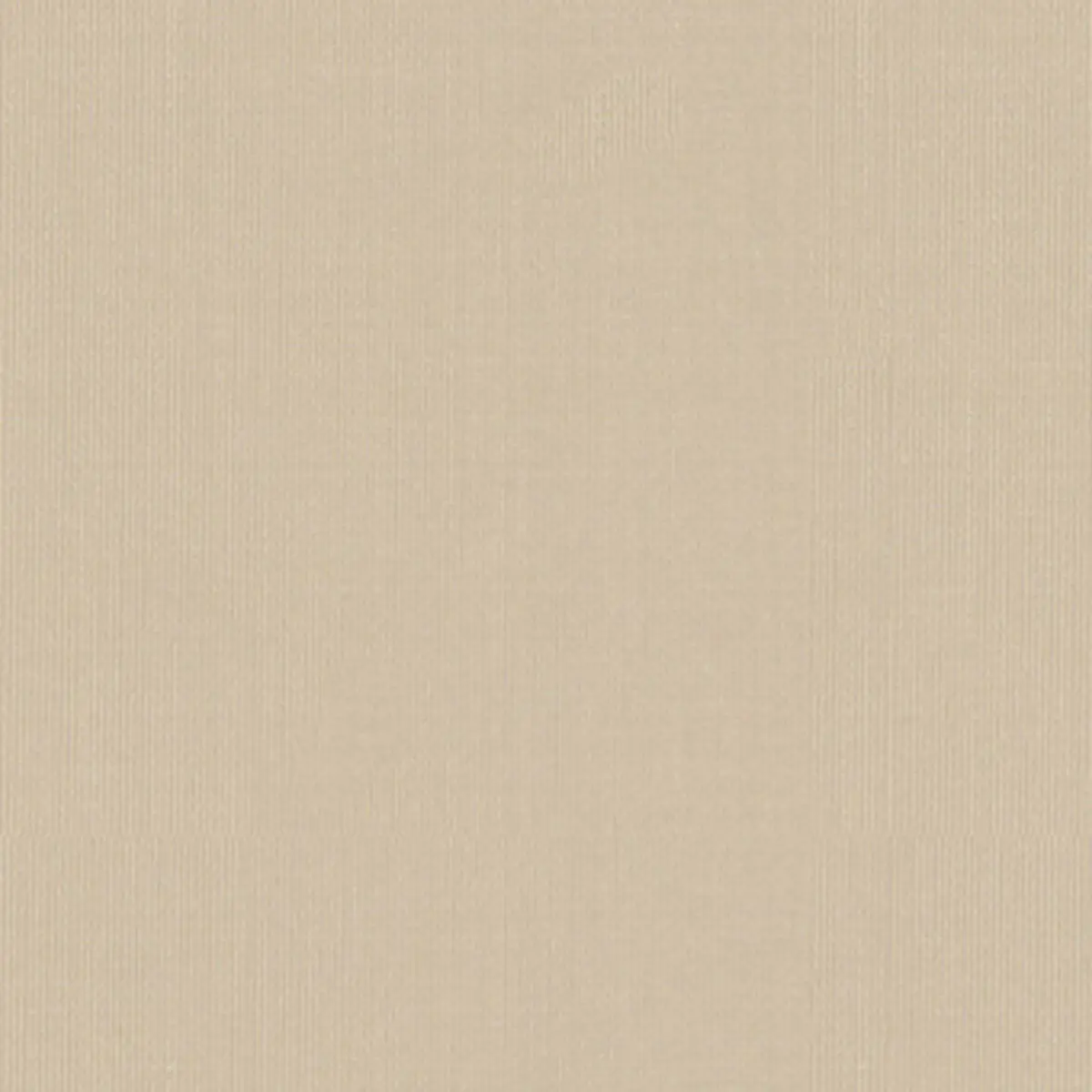 SARGENT SILK TAFFETA_ ALABASTER
