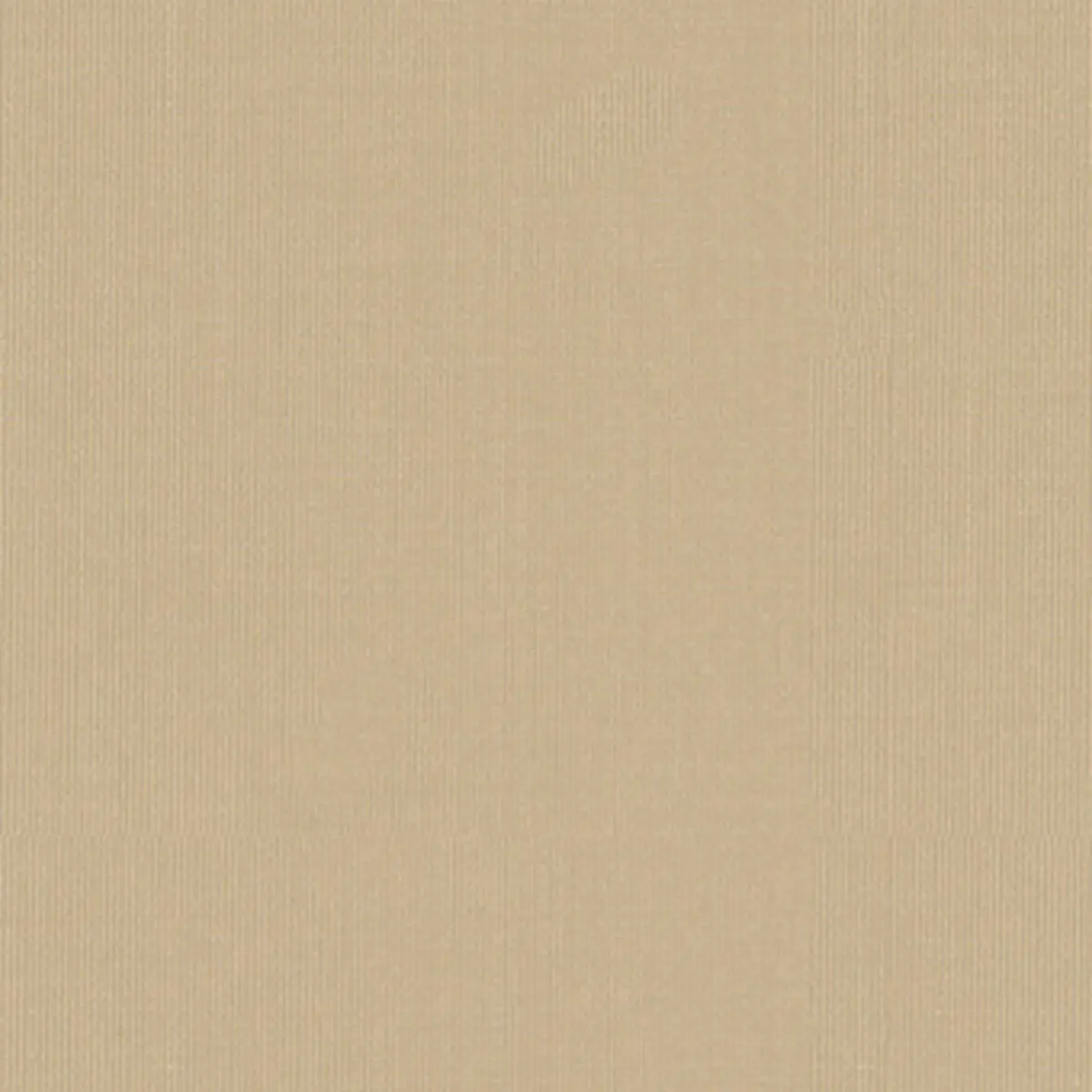 SARGENT SILK TAFFETA_ VANILLA