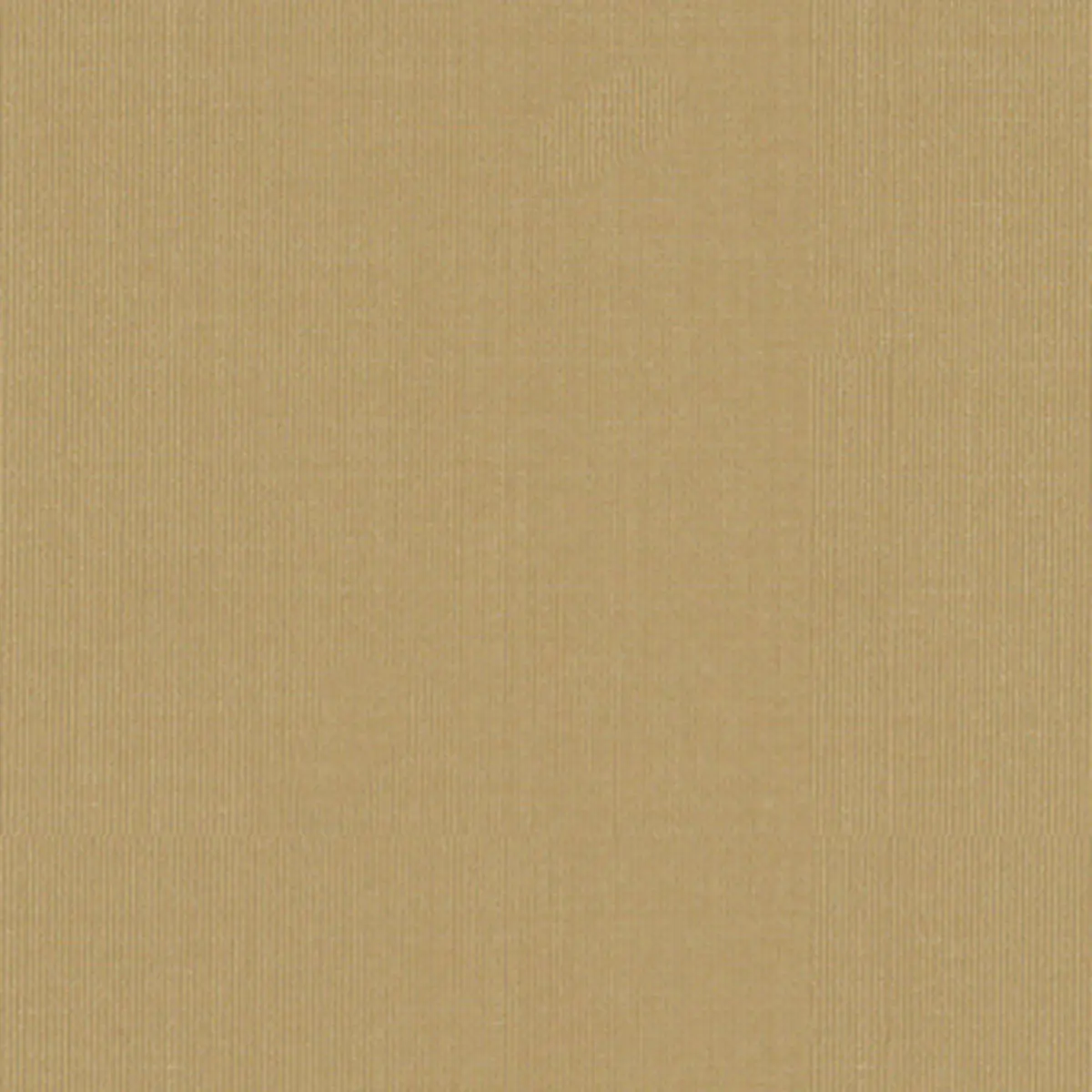 SARGENT SILK TAFFETA_ BUTTER