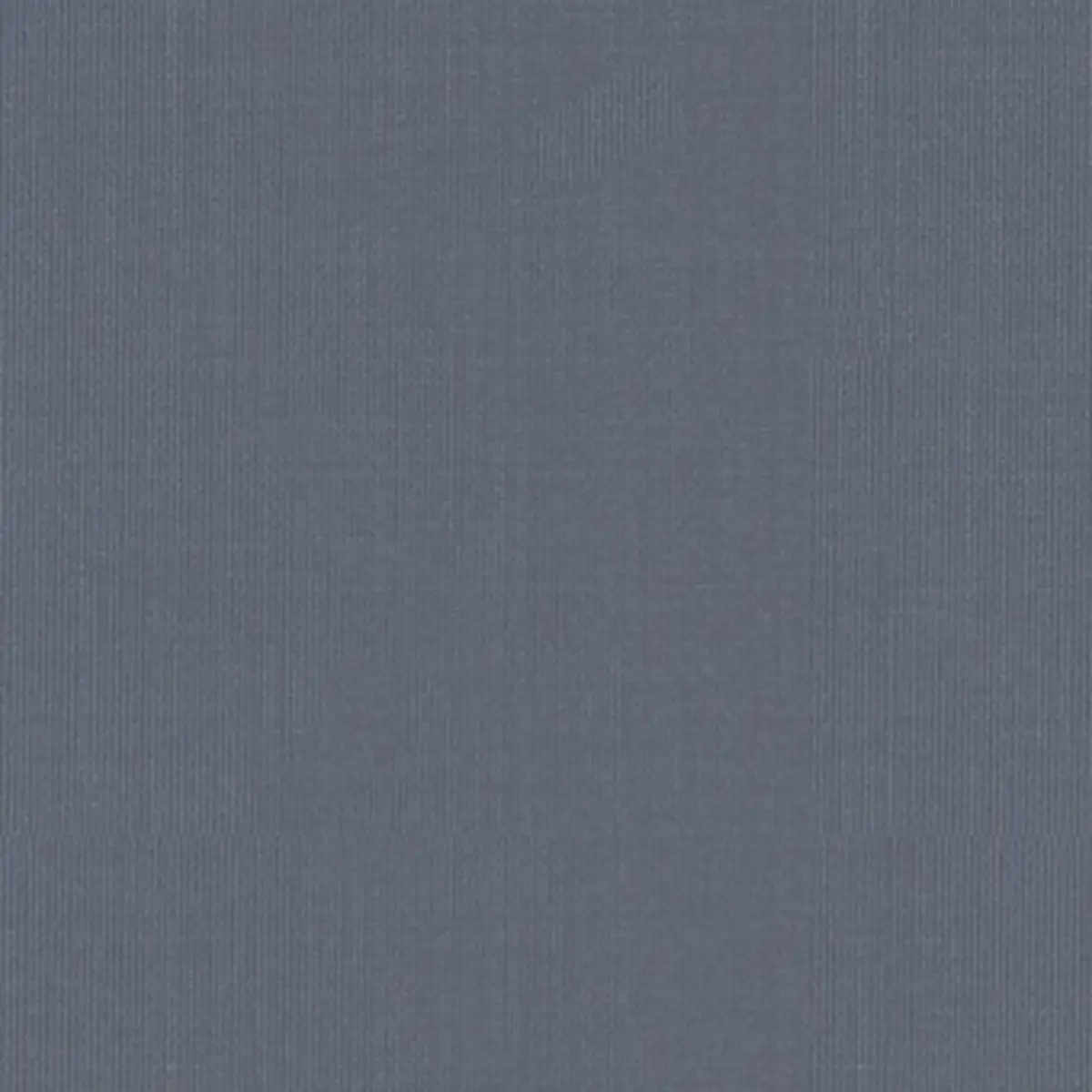 SARGENT SILK TAFFETA_ CHAMBRAY