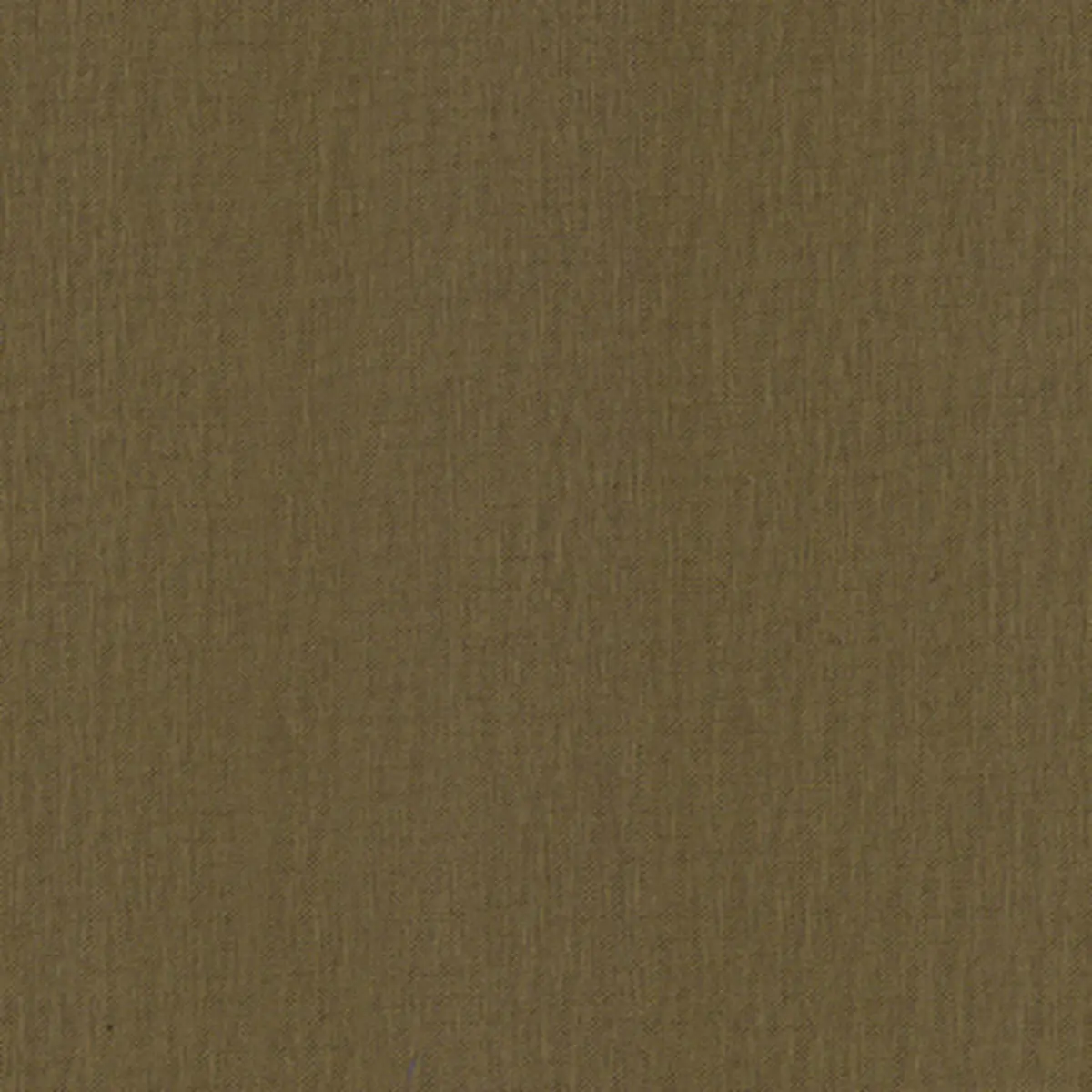SARGENT SILK TAFFETA_ LICHEN