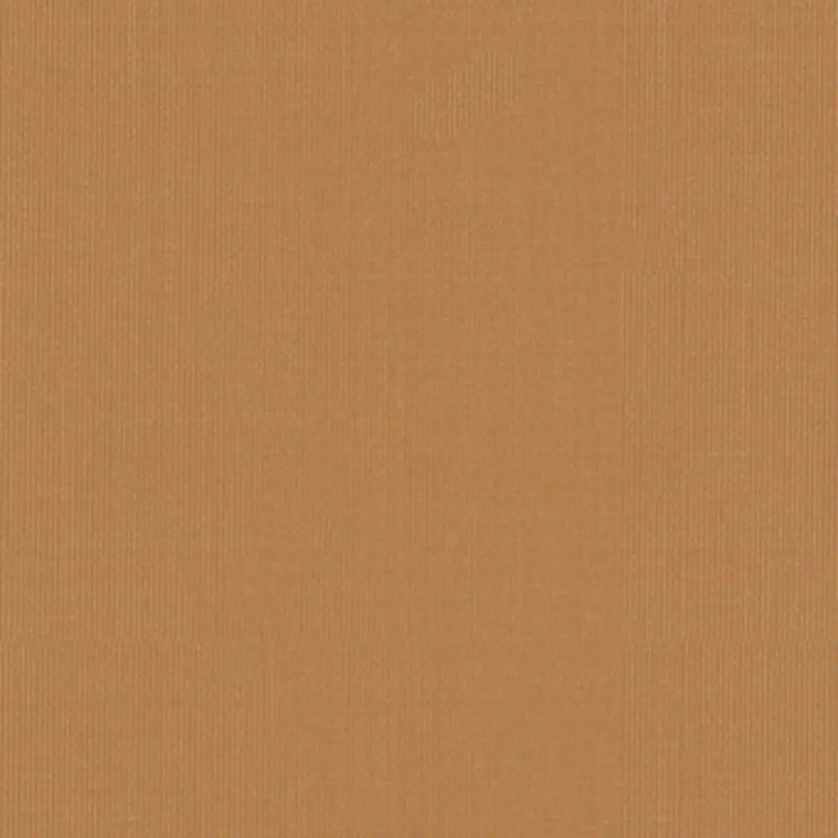 SARGENT SILK TAFFETA_ HONEY