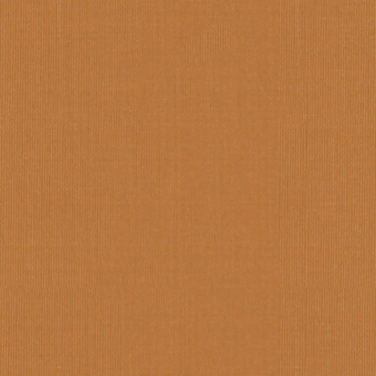 SARGENT SILK TAFFETA_ AMBER